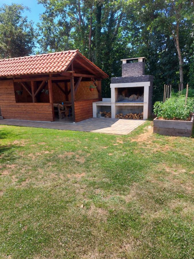 פאזין Guest House Flora מראה חיצוני תמונה