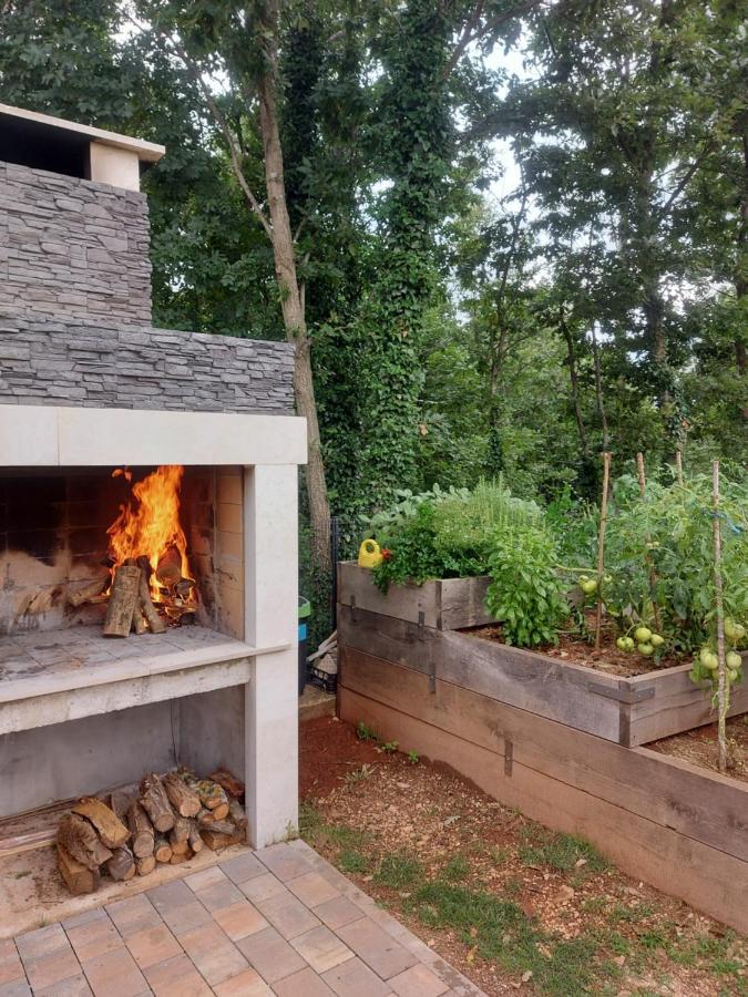 פאזין Guest House Flora מראה חיצוני תמונה