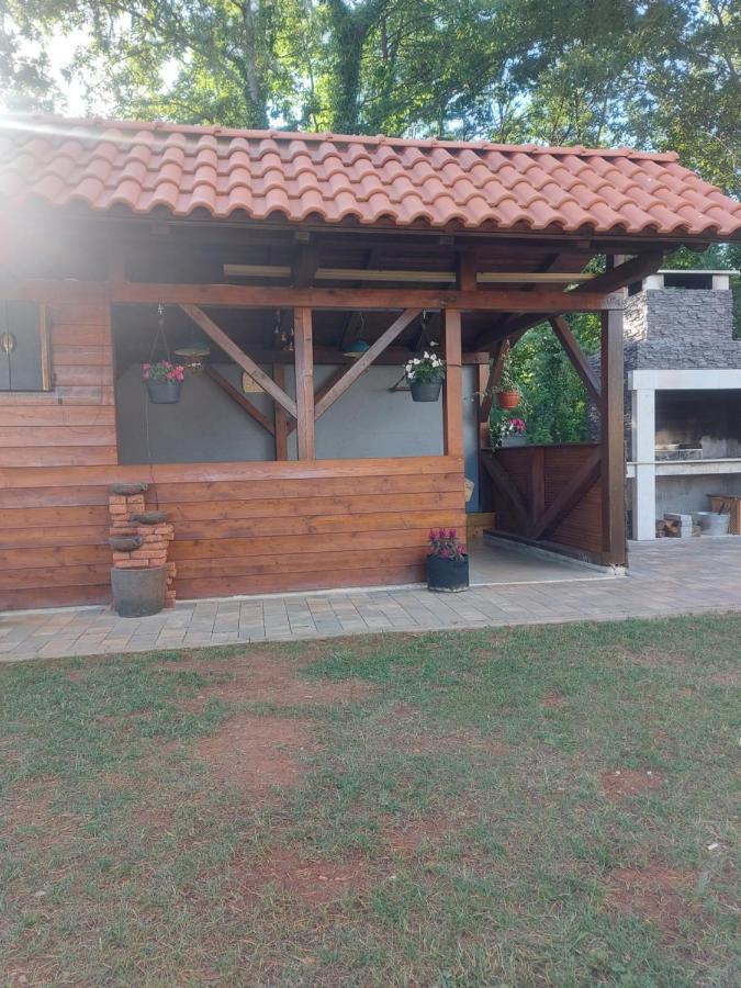 פאזין Guest House Flora מראה חיצוני תמונה