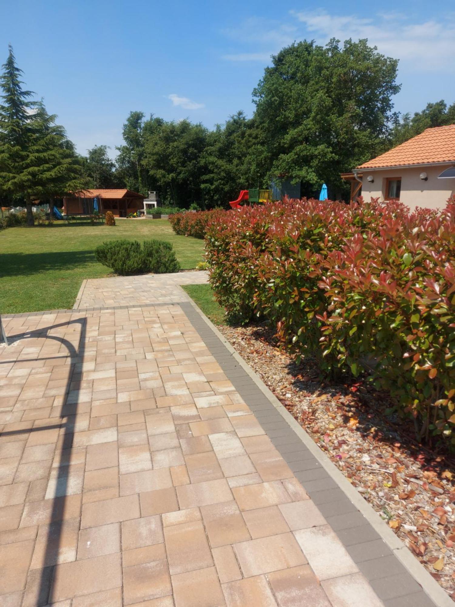 פאזין Guest House Flora חדר תמונה